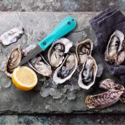 Toadfish Outfitters Oyster Knife 7 Toadfish Outfitters Oyster Knife