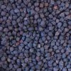 Rancho Gordo Black Garbanzo Beans - 1 Lb. 1 Rancho Gordo Black Garbanzo Beans - 1 Lb.