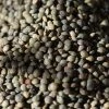 Food Rancho Gordo French-Style Green Lentils - 1 Lb.