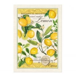 Michel Design Works Michel Design Kitchen Towel, Lemon Basil Michel Design Works
