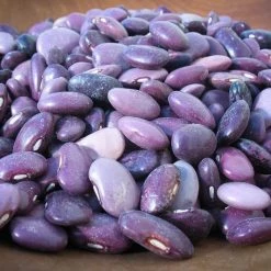 Rancho Gordo Ayocote Morado Beans - 1 Lb.