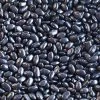 Rancho Gordo Chiapas Black Beans - 1 Lb.