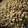 Rancho Gordo White Corn Posole Prepared Hominy - 1 Lb.