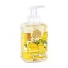 Michel Design Works Michel Design Foaming Soap 1 Michel Design Works Michel Design Foaming Soap