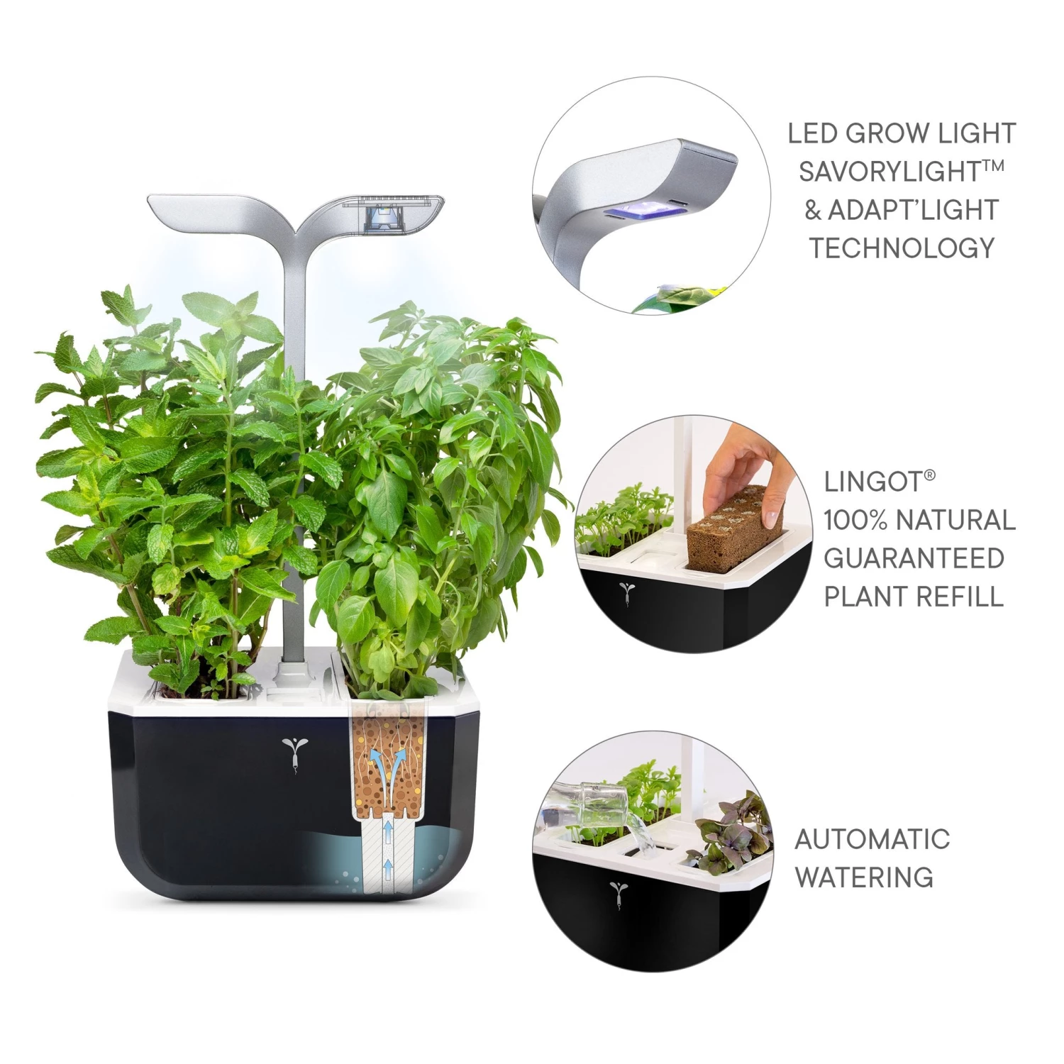 Veritable EXKY Smart Garden Ultra Compact Black/Copper 4 Veritable EXKY Smart Garden Ultra Compact Black/Copper