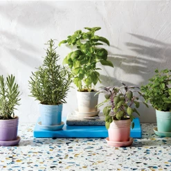 Le Creuset Ceramic Herb Planter