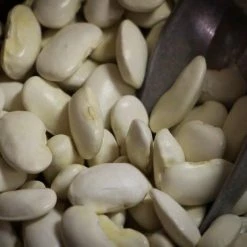 Rancho Gordo Royal Corona Beans - 1 Lb.