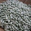 Rancho Gordo Flageolet Beans - 1 Lb. 2 Rancho Gordo Flageolet Beans - 1 Lb.