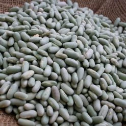 Rancho Gordo Flageolet Beans - 1 Lb.