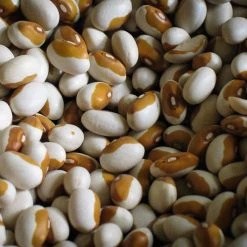 Food Rancho Gordo Yellow Eye Beans - 1 Lb.