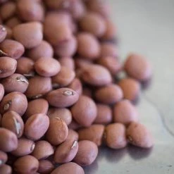 Rancho Gordo Santa Maria Pinquitos - 1 Lb. Food