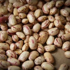 Food Rancho Gordo Cranberry Beans - 1 Lb.