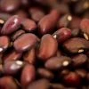 Rancho Gordo Domingo Rojo Beans - 1 Lb. Food