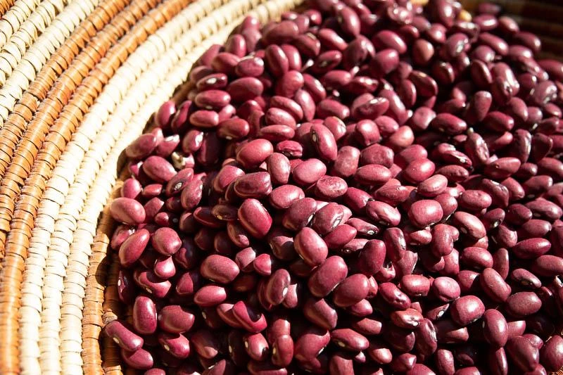 Rancho Gordo Hidatsa Red Beans - 1 Lb. 3 Rancho Gordo Hidatsa Red Beans - 1 Lb.