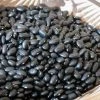 Rancho Gordo Santanero Negro Beans - 1 Lb. Food