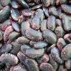 Food Rancho Gordo Scarlet Runner Beans - 1 Lb.