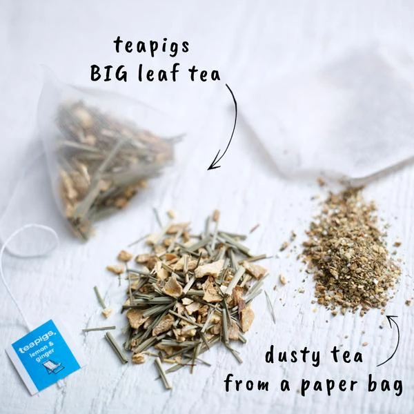 Tea Pigs Tea Kettles & Accessories Teapigs Lemon Ginger Tea 5 Tea Pigs Tea Kettles & Accessories Teapigs Lemon Ginger Tea