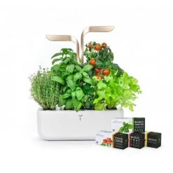 Veritable Véritable CONNECT Garden, Moonlight Gold