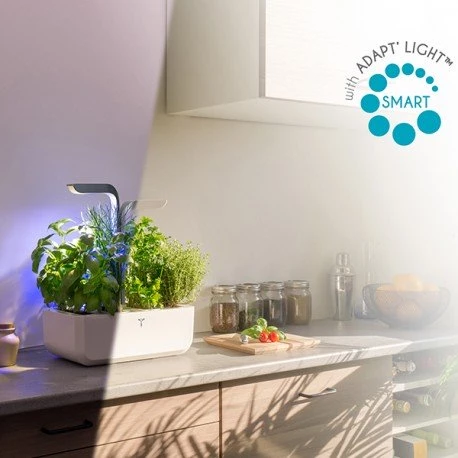 Veritable Véritable CONNECT Garden, Moonlight Gold 7 Veritable Véritable CONNECT Garden, Moonlight Gold