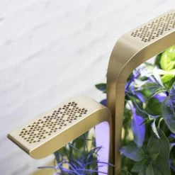 Veritable Véritable CONNECT Garden, Moonlight Gold